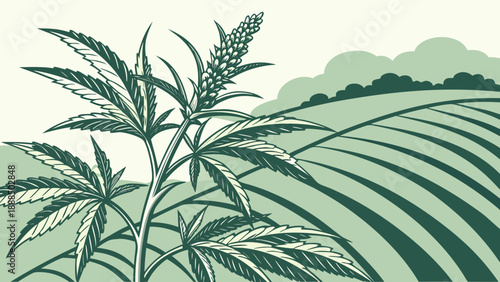 Cannabis Plant in Field Illustration with Green Tones.