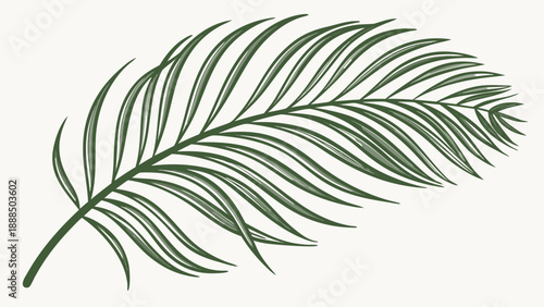 Detailed Line Art Illustration of a Palm Leaf 1.