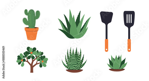 Set of various green plants and cooking utensils on white background