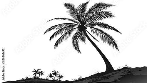 Palm Tree Silhouette on Tropical Island Landscape.