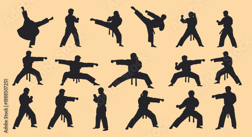 Martial Arts Silhouettes in Various Fighting Stances.