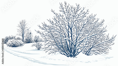 Winter Landscape with SnowCovered Trees and Bushes.