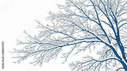 Winter Tree Branches Covered in Snow Illustration 1.