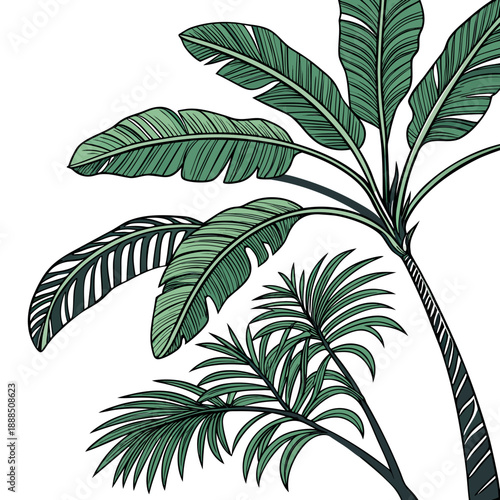 Tropical Palm Tree Illustration with Red and Green Accents.