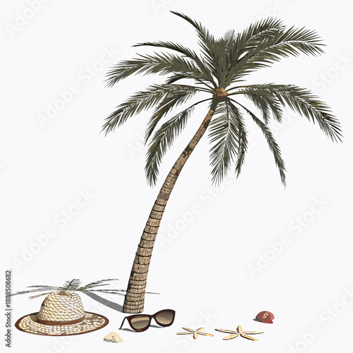 Tropical Palm Tree with Beach Accessories on White Background.