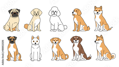 Comprehensive collection of ten different dog breed illustrations shows a variety of sizes and colors for pet enthusiasts and owners.