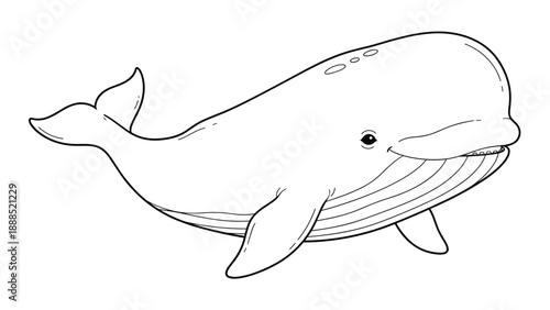 Large humpback whale is depicted in a clean line drawing style highlighting its massive body and distinctive underside grooves.