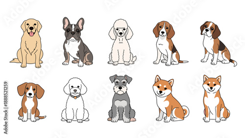 Array of ten different dog breeds sitting in two rows provides a diverse selection of pet characters for use in various creative projects.