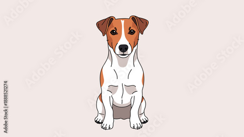Loyal Jack Russell Terrier sits patiently and looks directly forward in this clean and simple pet illustration on a light background.