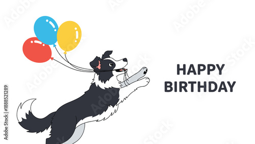 Active Border Collie jumps into the air holding three colorful balloons to celebrate a happy birthday in this festive dog graphic.