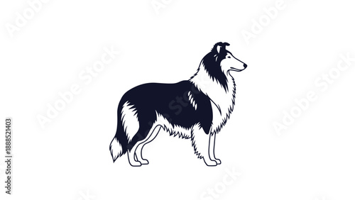 Solid black silhouette of a Collie dog standing in a side profile view emphasizes the graceful and long-haired outline of the breed.
