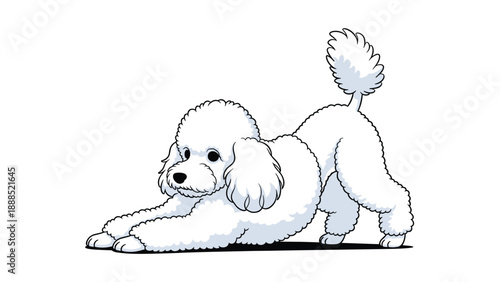 Cute white toy poodle dog in a playful stretching pose on a white background with a soft shadow underneath.