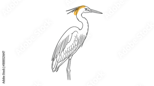 Elegant line drawing of a heron bird with orange details on its head standing against a white background.