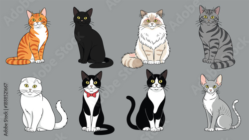 Variety of eight different cat breeds including tabby black and tuxedo sitting in two rows on a gray background.