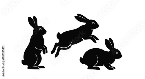 Three black rabbits in various jumping poses are depicted against a white background presented as a striking silhouette high quality professional