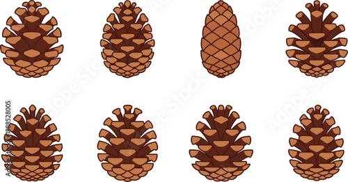 Set of Brown Pine Cone Illustrations, Flat Vector Forest Conifer Seed Pods and Autumn Elements for Seasonal Nature Branding