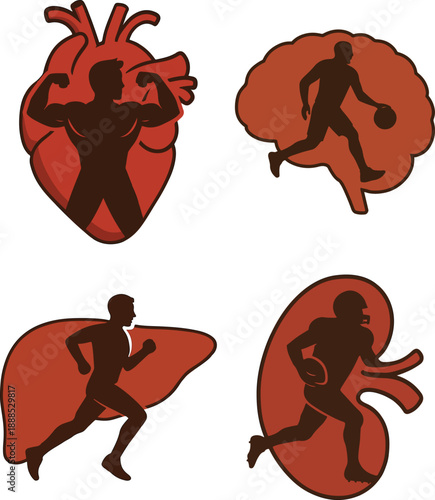 Human Organ Silhouettes With Athletic Player Figures Illustrating Body Strength And Performance