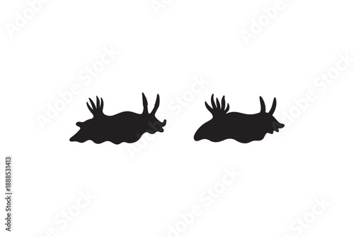 Nudibranch sea slugs silhouettes marine gastropod mollusks vector image on white background