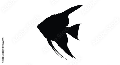 A striking black silhouette of an angelfish gracefully swimming displaying its distinctive fin shape and elegant form silhouette high quality professional