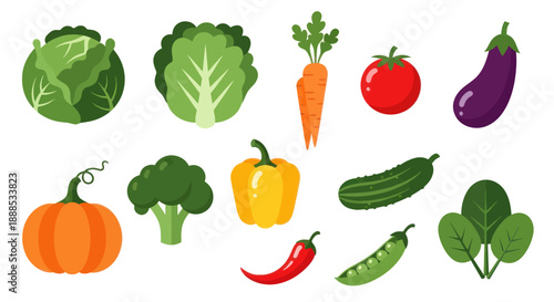 Vibrant vector illustration of various fresh vegetables for health and diet
