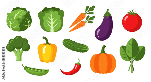 Vibrant vegetable collection cabbage carrot tomato pumpkin and more