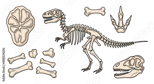 T-Rex Dinosaur Fossil Skeleton and Bones Science Set