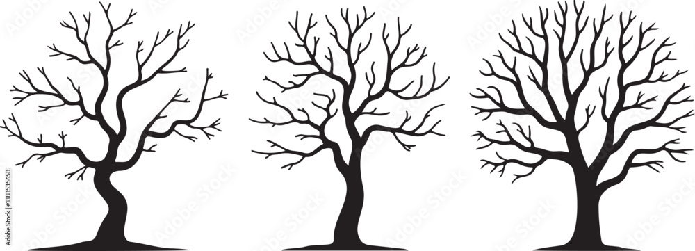 Obraz premium Bare Winter Tree Trio Silhouette