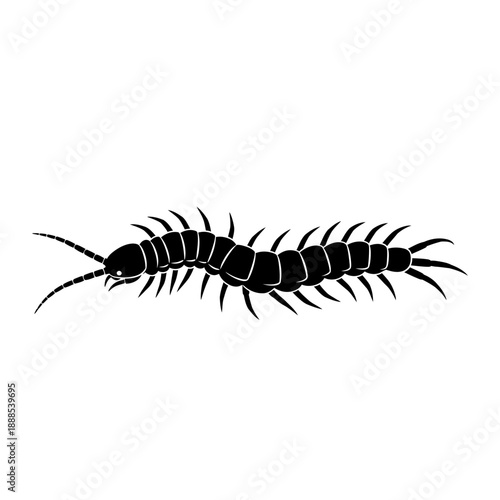Silhouette of a crawling centipede black vector shape on white background bug icon isolated flat