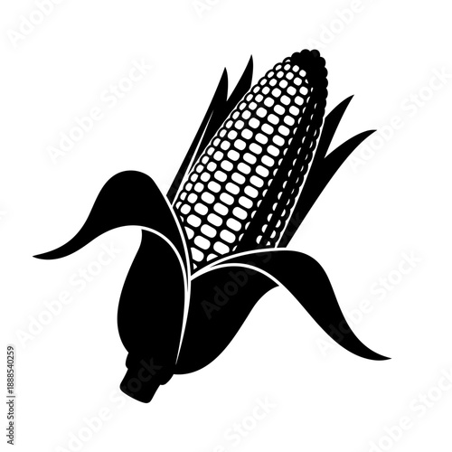 Silhouette of a corn cob peeled husk black vector shape on white background farm vegetable isolated