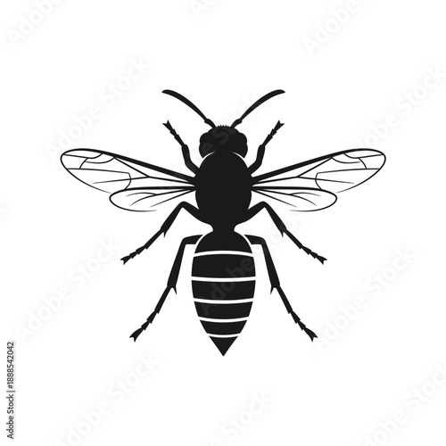 Hornet Wasp Insect Silhouette Vector Icon Isolated Dangerous Pest Illustration