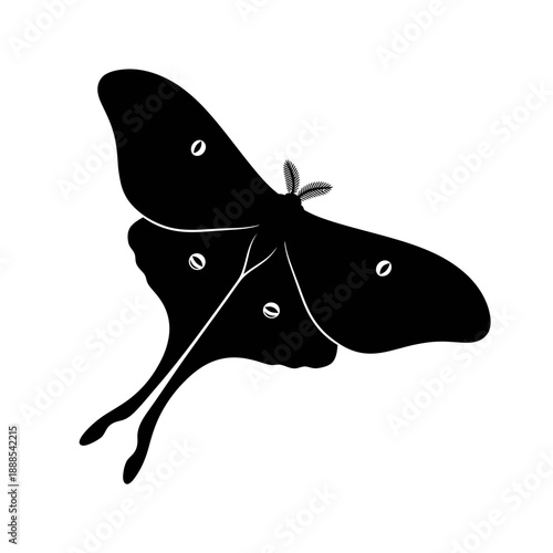 Luna Moth Insect Silhouette Vector Icon Isolated Night Butterfly Illustration