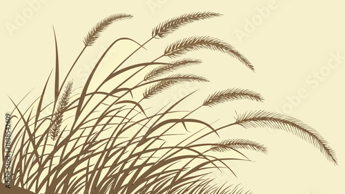 Elegant Vector Illustration of Ornamental Grass in Neutral Tones.