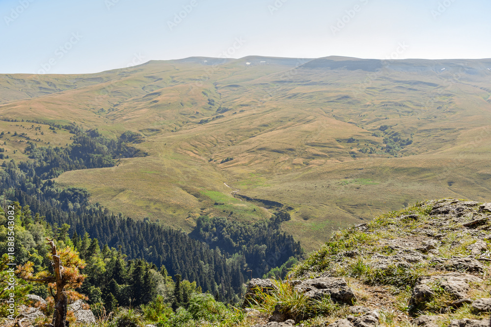 Obraz premium Landscapes of the Lagonaki plateau on a summer morning, Adygea Republic of Russia