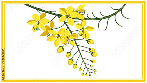 Golden Shower Tree Blossoms A Vibrant Floral Display.