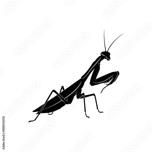 Praying Mantis Insect Silhouette Vector Icon Isolated Garden Animal