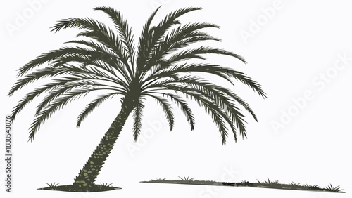 Silhouette of a Palm Tree Against a White Background 3.