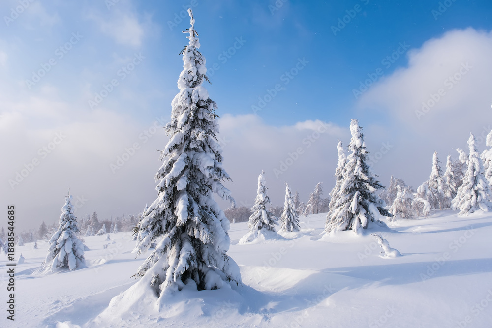 Fototapeta premium Winter snow-covered trees in the Ural mountains
