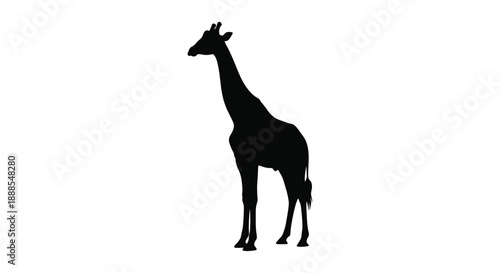 A striking black silhouette of a giraffe standing gracefully silhouette