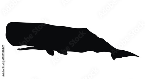 A dark whale form against a white background a striking silhouette