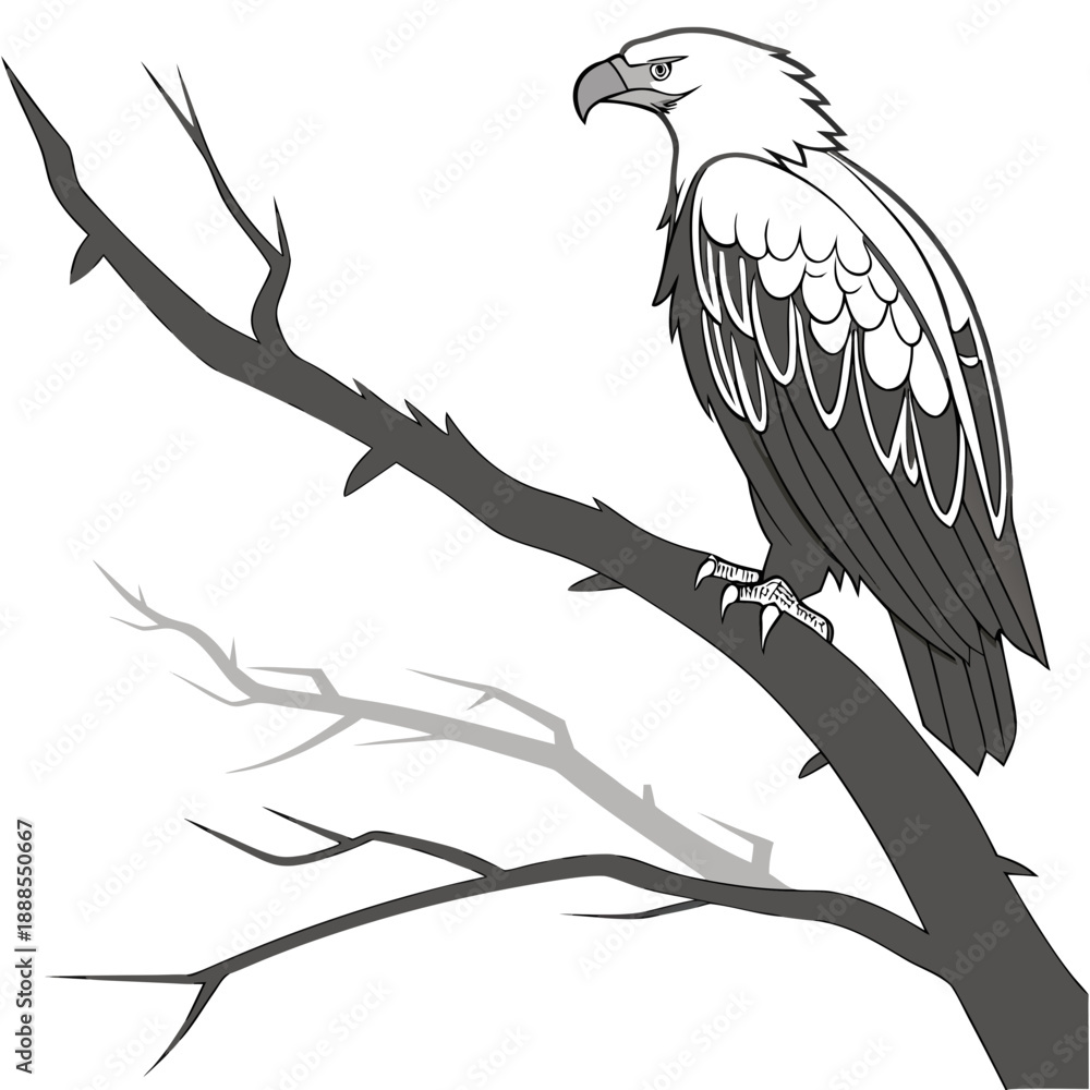 Fototapeta premium Majestic Eagle Perched on a Branch A Detailed Illustration.
