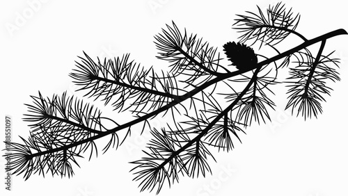 Pine Branch Silhouette with Cone Evergreen Tree Detail.