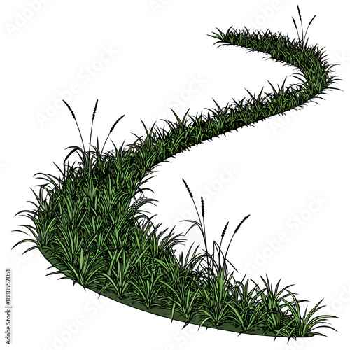 Winding Path of Green Grass and Reeds Illustration.