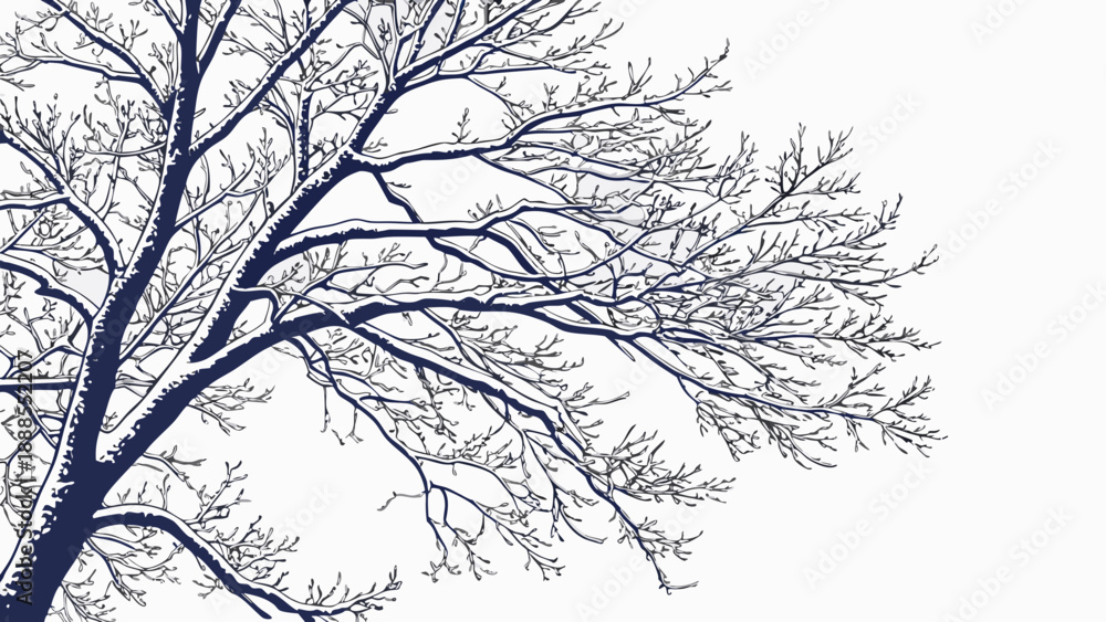Fototapeta premium Winter Tree Branches Covered in Snow A Serene Seasonal Illustration.