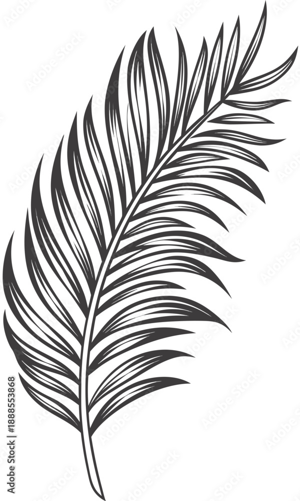 Obraz premium Elegant Palm Leaf Illustration for Botanical Designs and Tropical Themes.