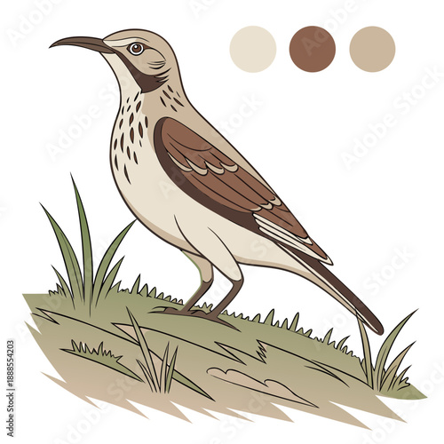 Elegant Thrush Bird Illustration in Natural Habitat.
