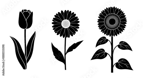 Black and white silhouettes of tulip, daisy and sunflower for botanical designs