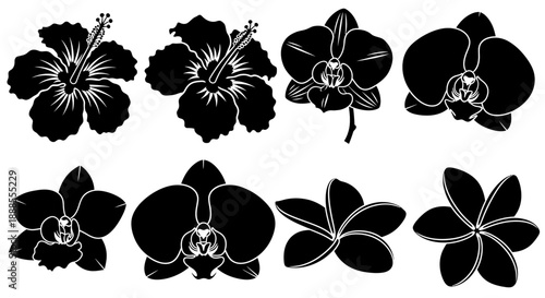 Elegant floral silhouette collection featuring hibiscus, orchid and plumeria designs
