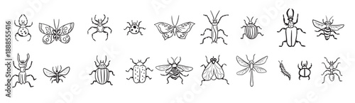 big hand drawn line collection of insects insects vector