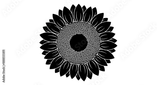 Elegant black and white sunflower illustration showcasing intricate floral design and simplicity