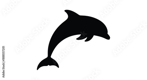 A leaping dolphin form is presented as a dark silhouette